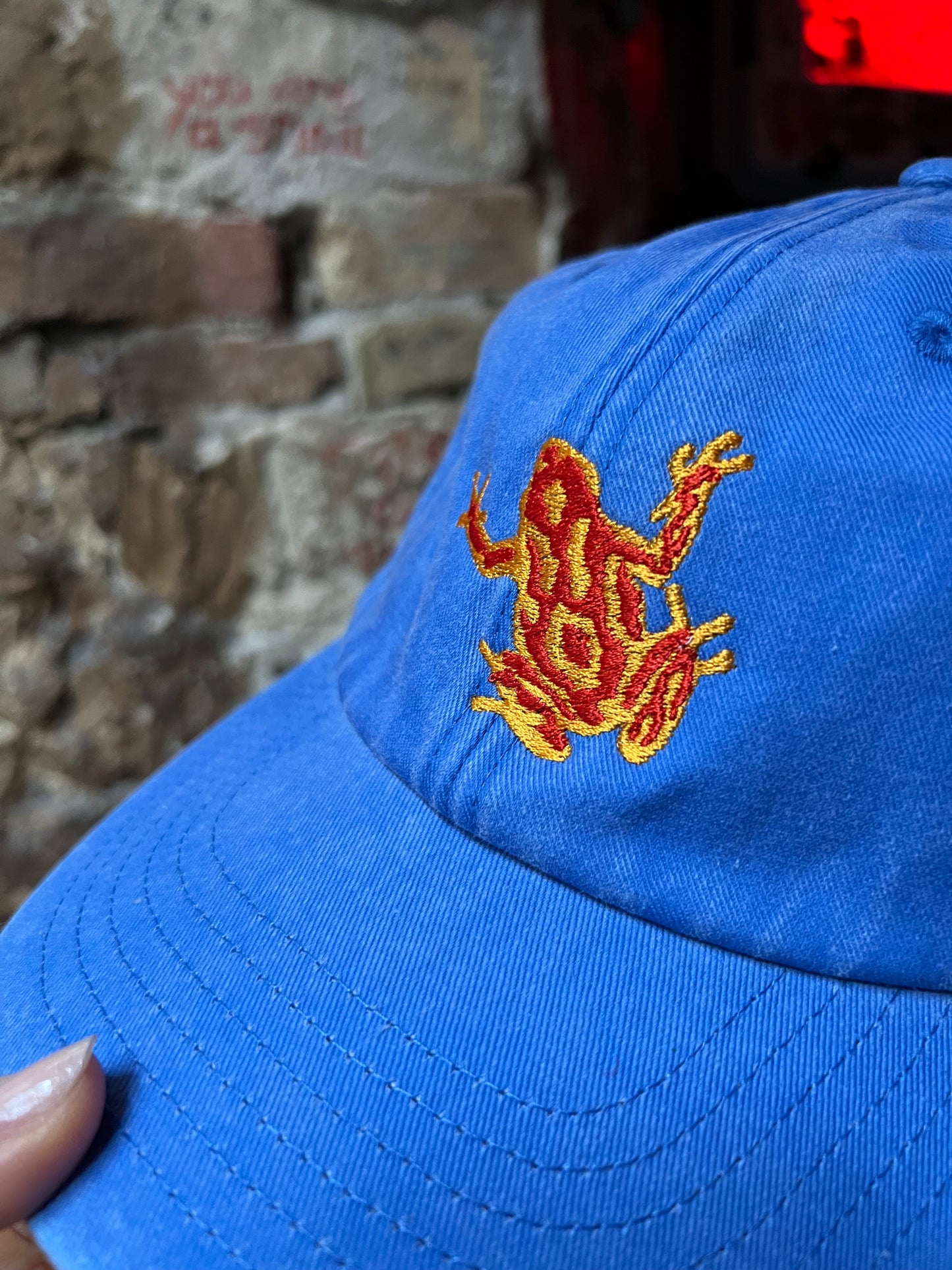 DART FROG bluncap /azure blue/