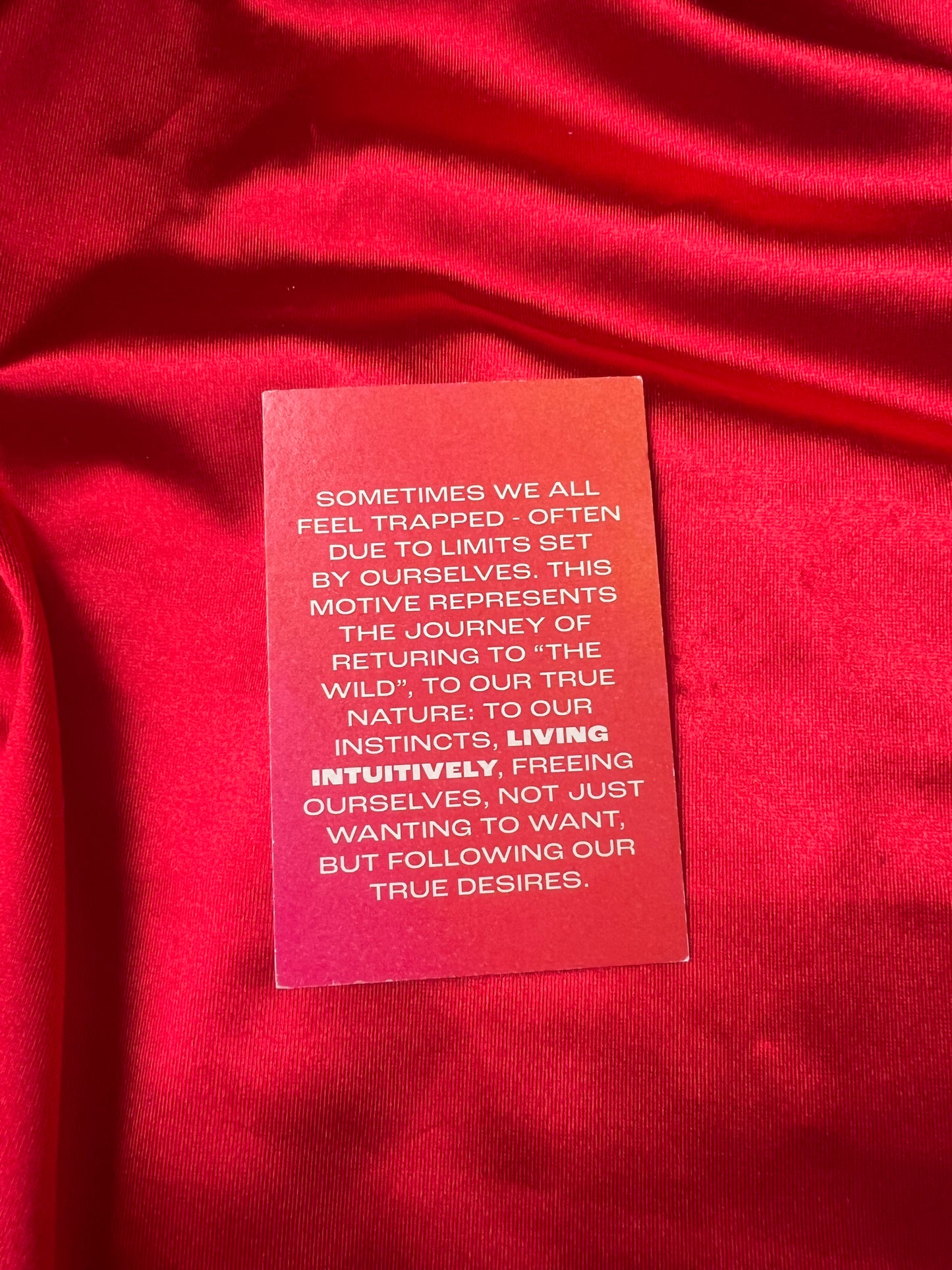 WILD unisex tee /black/